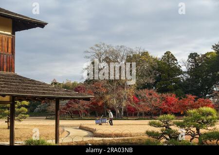 Jardin marchant parmi le feuillage de fin d'automne Korakuen jardin (後楽園?) à Okayama, Japon. Korakuen est classé comme l'un des trois meilleurs jardins paysagers du Japon. Banque D'Images