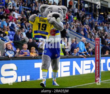 Wolfie la mascotte de fil tient une réplique de chemise réplique de chemise pendant le Betfred Super League Round 17 Match Warrington Wolves vs Leeds Rhinos au Halliwell Jones Stadium, Warrington, Royaume-Uni, 29th juin 2023 (photo par Steve Flynn/News Images) Banque D'Images