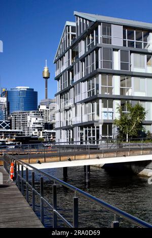 Quai 8 et quai 9, situés sur le rivage de la baie Pyrmont, avec Darling Harbour à l'est et Darling Island et Jones Bay à l'ouest. Autrefois utilisés depuis de nombreuses décennies comme chantier naval de cargaison, les quais ont été fraîchement transformés en un bâtiment résidentiel contenant 104 appartements, 54 postes de plaisance et une promenade publique. Sydney, Australie. 29 juin 2008. Banque D'Images