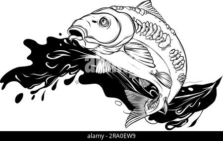 Carpe en noir et blanc. Esquisse vectorielle d'un poisson isolé Illustration de Vecteur