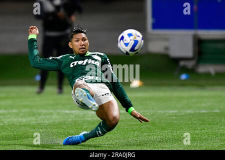 São Paulo (SP), 29/06/2023 - Futebol/PALMEIRAS-BOLIVAR (BOL) - Rony des Palmeiras - match entre Palmeiras x Bolivar (BOL), valable pour la sixième partie de la scène du groupe, de la Copa Libertadores de América, qui s'est tenue à l'Allianz Arena, à l'ouest de São Paulo, le jeudi 29, dans la nuit. Banque D'Images