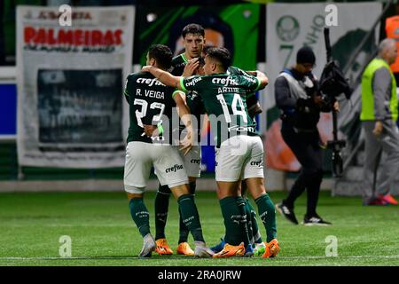 São Paulo (SP), 29/06/2023 - Futebol/PALMEIRAS-BOLIVAR (bol) - joueurs des Palmeiras - match entre Palmeiras x Bolivar (bol), valable pour la sixième partie de la scène du groupe, de la Copa Libertadores de América, qui s'est tenue à l'Allianz Arena, à l'ouest de São Paulo, dans la nuit du jeudi 29. Banque D'Images