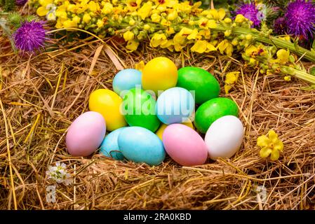 Peu de sucre coloré et des œufs en chocolat dans un nid de fleurs autour de la célébration de Pâques Banque D'Images