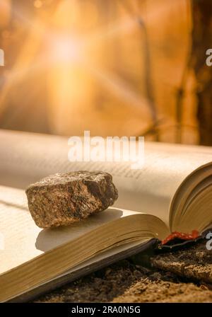 Un livre placé sur un tronc d'arbre avec une pierre sur une page est illuminé par un soleil fort et chaud Banque D'Images