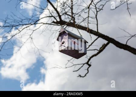 Une cabane à oiseaux est suspendue à une branche d'arbre par une chaîne. Banque D'Images