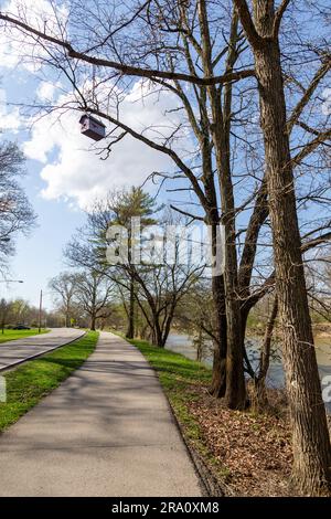 Une cabane à oiseaux est suspendue à un arbre situé au-dessus du couloir de la rivière Greenway Trail, le long de la rivière Wabash, à Bluffton, Indiana, États-Unis. Banque D'Images