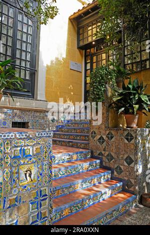 Escalier en mosaïque, Musée, Museo Sorolla, Madrid, Espagne Banque D'Images