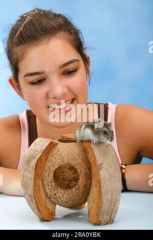 Fille regardant le hamster russe de Dwarf (Phodopus sungorus) Banque D'Images