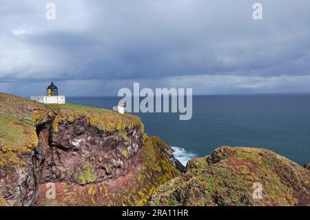 Phare et Foghorn, Rocky Coast, St. ABB's Head, St. ABB's, frontières écossaises, Ecosse, Borderland écossais Banque D'Images