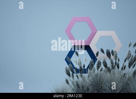 Un violet hexagonal survole sur fond bleu et l'herbe de pampas. Concept minimal avec des couleurs monochromes. 3D rendu Banque D'Images