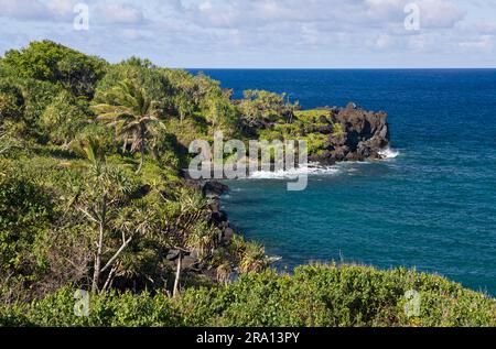 Waianapanapa State Park, sur la route de Hana, île de Maui, Hawaii, États-Unis Banque D'Images