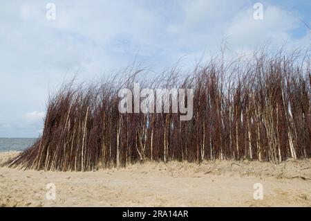 Plage, Cuxhaven, Basse-Saxe, Allemagne, fortification de plage Banque D'Images