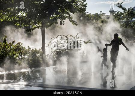 FRANCE. PARIS (1TH ARRONDISSEMENT). LE FORUM DES HALLES, COEUR DE PARIS. LE JARDIN NELSON MANDELA ET SON JARDIN AQUATIQUE DEVANT LA CANOPÉE (ARCHITECTES : Banque D'Images