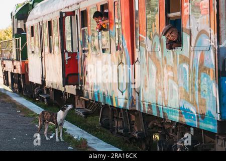 Un homme regarde par une fenêtre de wagon tandis que des enfants se penchent pour nourrir un chien à la gare de Durrës, en Albanie Banque D'Images