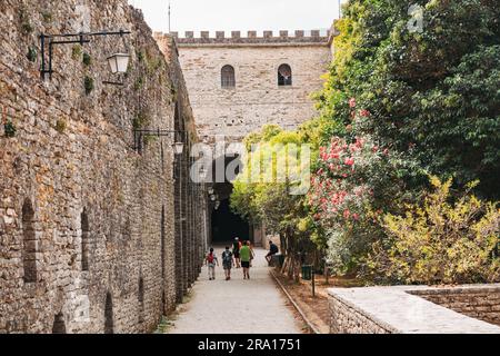 Fleurs printanières au château de Gjirokastër, une forteresse historique du 12e siècle dans le sud de l'Albanie. Maintenant un musée et un site du patrimoine mondial de l'UNESCO Banque D'Images