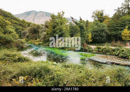 Le Blue Eye, une source d'eau naturelle célèbre pour sa couleur bleu profond dans le sud de l'Albanie, qui est aussi la tête de la rivière Bistrica Banque D'Images