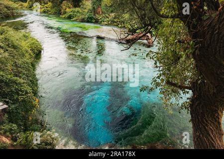 Le Blue Eye (Syri i Kaltër), une source d'eau naturelle et un trou de baignade célèbre pour sa couleur bleu profond dans le sud de l'Albanie. Un site touristique populaire Banque D'Images