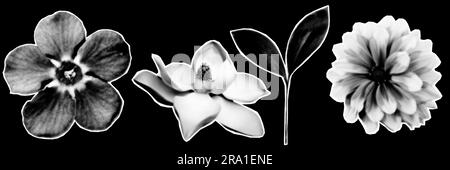 Éléments de montage en demi-ton dans un style de magazine tendance. Fleur. Illustration vectorielle avec formes de découpe punk vintage grunge Illustration de Vecteur