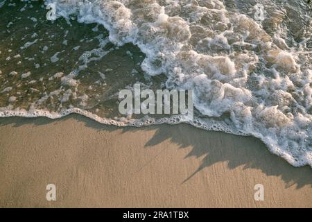 Gros plan sur les vagues à la plage Banque D'Images