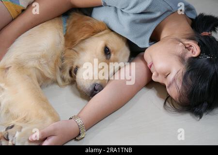 Une fille dormant par un retriever d'or Banque D'Images