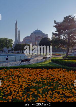 Mosquée Hagia Sophia et jardins un matin d'été dans le quartier Sultanahmet d'Istanbul, Turquie. Banque D'Images