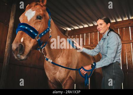 Equestrian, ranch et femme avec son cheval dans une grange, brossant la fourrure avant de s'entraîner comme jockey. Ferme, sport et une femme motard nettoyant son animal de compagnie Banque D'Images