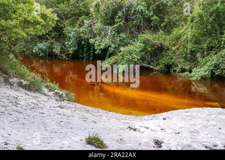 Vue idyllique d'une crique de couleur orange avec plage de sable et forêt verte, Parc naturel de Caraca, Minas Gerais, Brésil Banque D'Images