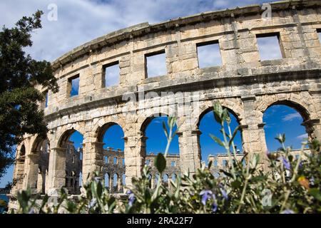 L'amphithéâtre de Pula, situé à Istrie, en Croatie, est une structure romaine remarquablement préservée qui témoigne de sa grandeur Banque D'Images