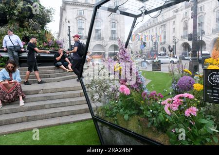 Piccadilly Circus, Londres, Royaume-Uni. 30th juin 2023. La statue de Piccadilly Circus d'Eros est décorée de fleurs par le fleuriste Philip corps for Art of London pour promouvoir le programme Art After Dark Arts. Crédit : Matthew Chattle/Alay Live News Banque D'Images