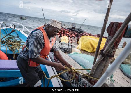 (230630) -- KWALE, 30 juin 2023 (Xinhua) -- Un pêcheur relie son bateau à la jetée de Kwale, Kenya, 22 juin 2023. Le premier lot de produits d'anchois sauvages du Kenya a fait ses débuts à la troisième édition de l'exposition économique et commerciale Chine-Afrique, jeudi, Afrique. Selon les statistiques douanières, les exportations agricoles africaines vers la Chine ont augmenté rapidement ces dernières années, et le hasCredit de Chine : Xinhua/Alamy Live News Banque D'Images