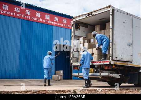 (230630) -- KWALE, 30 juin 2023 (Xinhua) -- les travailleurs chargent des produits anchois dans un camion à Kwale, au Kenya, en 23 juin 2023. Le premier lot de produits d'anchois sauvages du Kenya a fait ses débuts à la troisième édition de l'exposition économique et commerciale Chine-Afrique le jeudi.Credit: Xinhua/Alamy Live News Banque D'Images