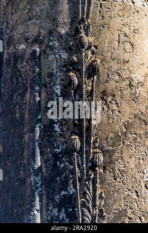 Coquelicots comme détail sur une colonne tombale d'après le dessin de Caspar David Friedrich. Le pavot à opium est ici le symbole d'un sommeil bon et profond. Le cimetière Elias de Dresde, en Allemagne, est désaffecté depuis 1876 et fermé depuis 1924 Banque D'Images