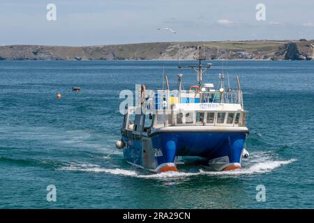 Le bateau de pêche Serene PW17 retourne au port de Newquay Harbour à Cornwall, en Angleterre, au Royaume-Uni. Banque D'Images