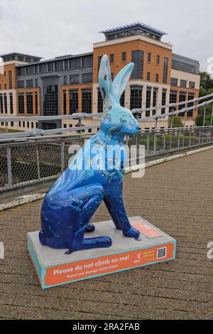 Tournez le Tide – Donna Newman - Eden-Designs sur le pont suspendu de Wellington. L'une des œuvres d'art sur le Big Hop Trail Aberdeen Scotland juin 2023 Banque D'Images