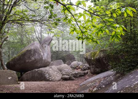 France, Tarn, Lacrouzette, Parc naturel régional du Haut Languedoc, plateau de granit de Sidobre, le Roc de l'OIE Banque D'Images