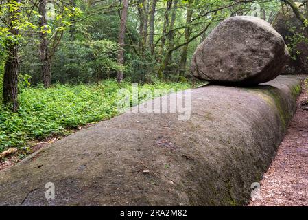 France, Tarn, Lacrouzette, Parc naturel régional du Haut Languedoc, plateau de granit de Sidobre, billard Banque D'Images