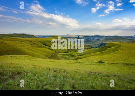 Afrique du Sud, Kwazulu Natal, parc uKhahlamba Drakensberg, site classé au patrimoine mondial de l'UNESCO, réserve de gibier du château géant Banque D'Images