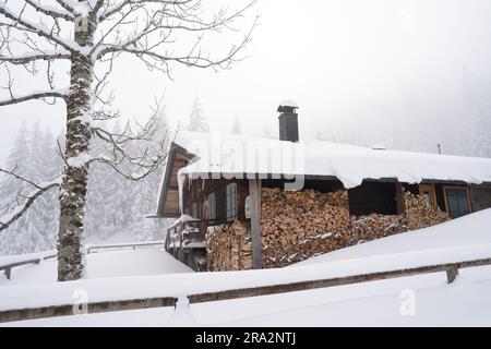 Une scène hivernale idyllique avec une grande maison couverte de neige Banque D'Images