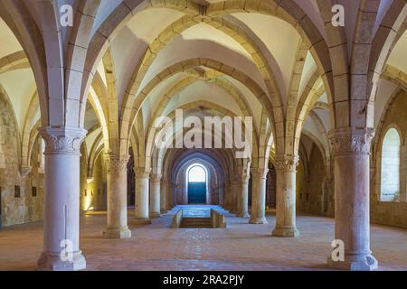 Portugal, région centrale, Alcobaça, Santa Maria du monastère d'Alcobaça fondé au 12th siècle par le roi Alfonso I, chef-d'œuvre de l'art gothique cistercien et site classé au patrimoine mondial de l'UNESCO, dortoir Banque D'Images