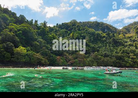 Thaïlande, province de Krabi, île de Koh Phi Phi Don, plage de singes Banque D'Images
