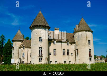 France, Côte d'Or, Bourgogne climats classés au patrimoine mondial par l'UNESCO, Côte de Beaune, Savigny les Beaune, le château avec les musées et collections d'avions, voitures de course (Abarth) et motos Banque D'Images