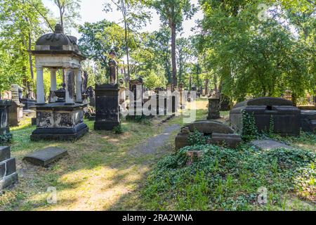 Variété de formes sur le complexe baroque Camposanto Eliasfriedhof à Dresde. De nombreux ornements funéraires ont un pouvoir symbolique élevé. Ainsi, une colonne brisée représente la vie inachevée, des bols et des récipients représentent la mémoire et les biens funéraires. Le cimetière Elias de Dresde, en Allemagne, est désaffecté depuis 1876 et fermé depuis 1924 Banque D'Images