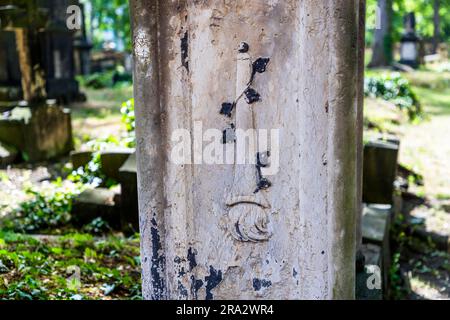 Détail d'une pierre tombale au cimetière Elias à Dresde avec une torche pointant vers le bas comme symbole de la vie éteinte. Le cimetière Elias de Dresde, en Allemagne, est désaffecté depuis 1876 et fermé depuis 1924. Une torche pointant vers le bas symbolise la fin de la vie Banque D'Images