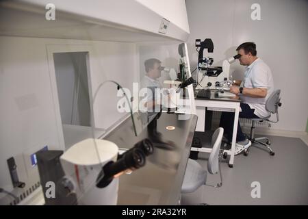 16 février 2023, Lviv, Ukraine : un médecin travaille au Département des techniques de reproduction assistée de Lviv. Le Ministère effectuera la cryoconservation et le stockage des embryons et des cellules germinales gratuitement, et les stockera pour une utilisation ultérieure dans les programmes de traitement de l'infertilité. En particulier, il sera mis à la disposition du personnel militaire qui combat pendant la guerre russo-ukrainienne. Selon les statistiques, chaque cinquième couple marié en Ukraine est désormais stérile. Ce département a été ouvert au Centre régional de périnatalité clinique de Lviv. (Credit image: © Pavlo Palamarchuk/SOPA Images via ZUMA Press Banque D'Images