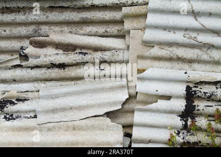 Piles de vieilles feuilles de ciment en amiante cassées empilées ensemble. Toxique, cancer induisant des problèmes pulmonaires et l'amiantose, Angleterre Royaume-Uni Banque D'Images