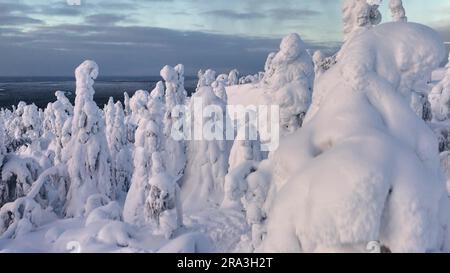 Vue aérienne de la forêt enneigée, lever du soleil en Laponie, Finlande Banque D'Images