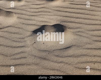 Motif de sable unique avec des yeux profonds et le sourire Banque D'Images