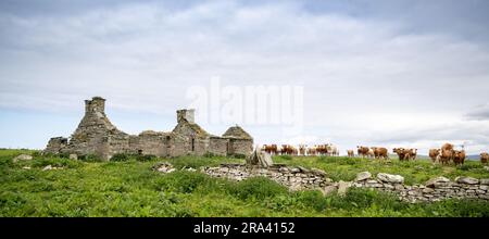 Ruines d'un ancien cottage de crofters sur les îles Orcades, Écosse, Royaume-Uni. Banque D'Images