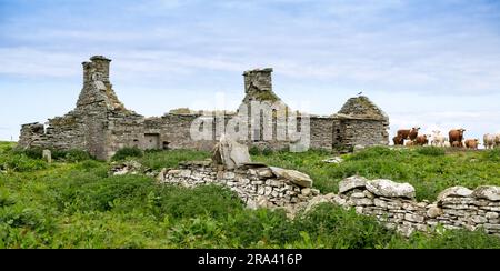 Ruines d'un ancien cottage de crofters sur les îles Orcades, Écosse, Royaume-Uni. Banque D'Images