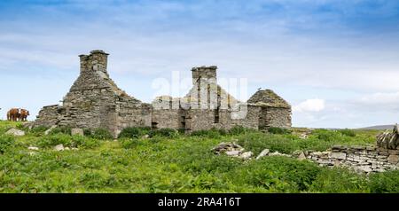 Ruines d'un ancien cottage de crofters sur les îles Orcades, Écosse, Royaume-Uni. Banque D'Images